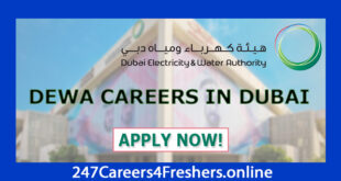 Dewa Careers