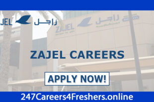 Zajel Careers